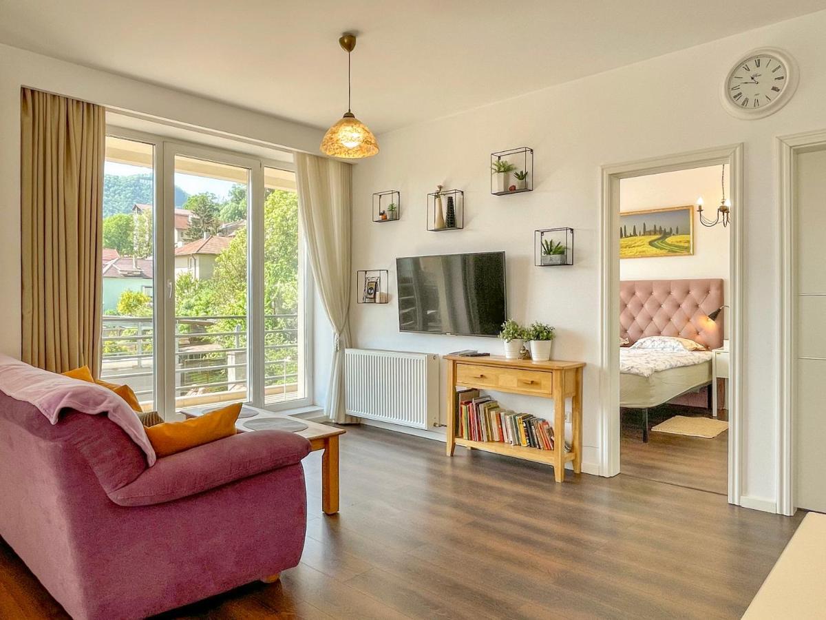 Central Premium Apartment Brasov Bagian luar foto