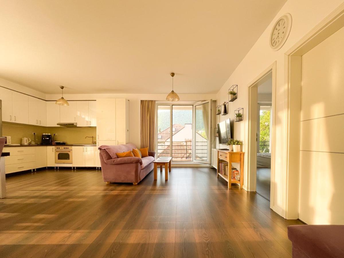 Central Premium Apartment Brasov Bagian luar foto